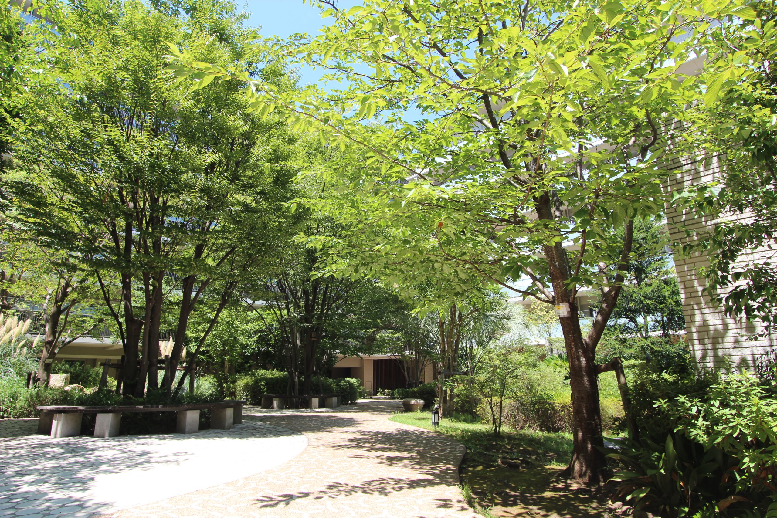 豊かな植栽|建物周辺の共用部には緑豊かな植栽が色鮮やかに彩る